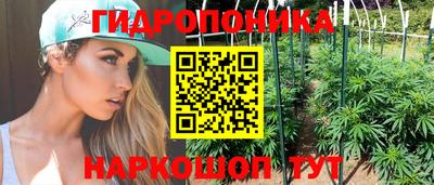 МДПВ Камышлов