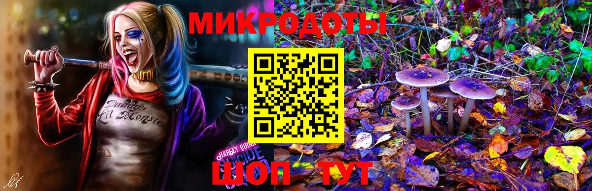 Галлюциногенные грибы мицелий  Вход с VPN  Чапаевск 