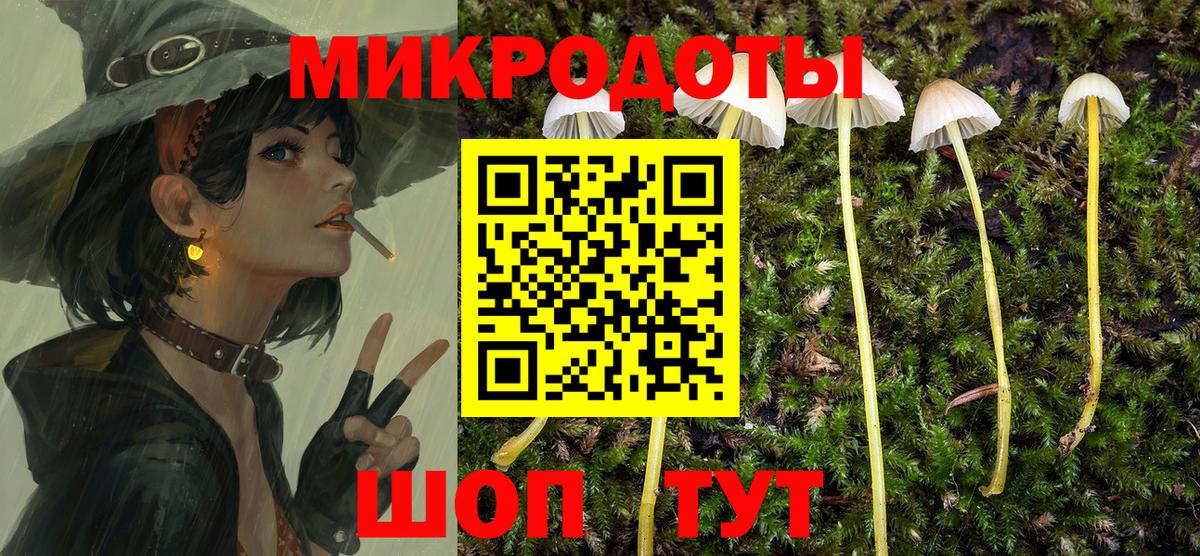 Псилоцибиновые грибы мухоморы Чапаевск